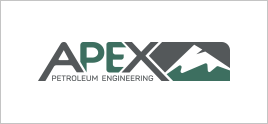APEX Petroleum Engineering