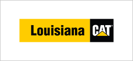 Louisiana Cat